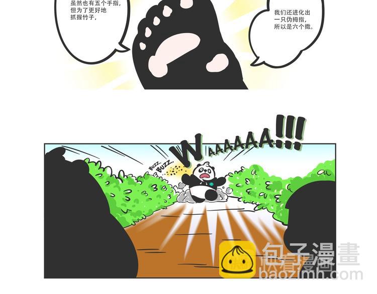 走丢的“熊猫君”12