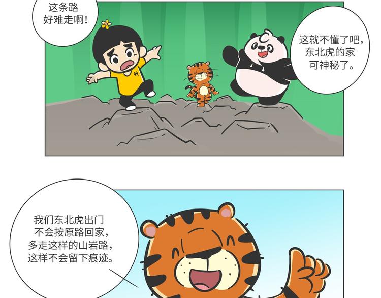 森林之王“虎威威”18