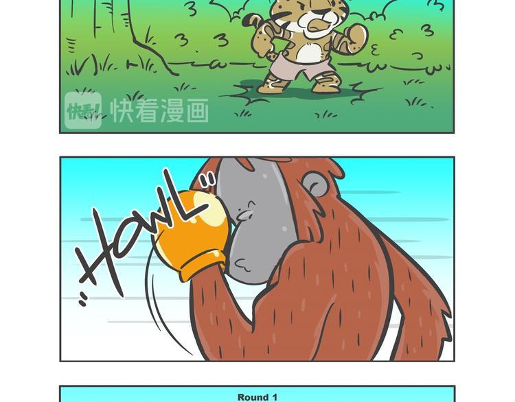 “强者对决”云豹沙普拉12