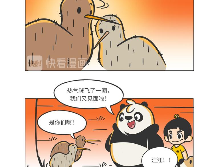 满满爱的几维鸟18