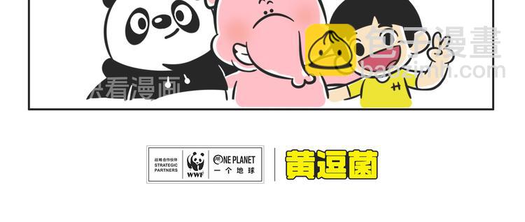 什么是大象食堂？3