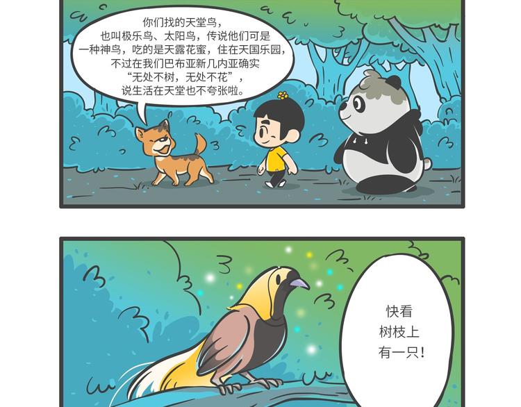 “武林高手”天堂鸟9