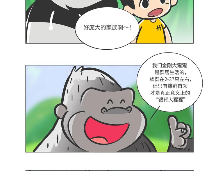雨林深处的王者“努卡”11