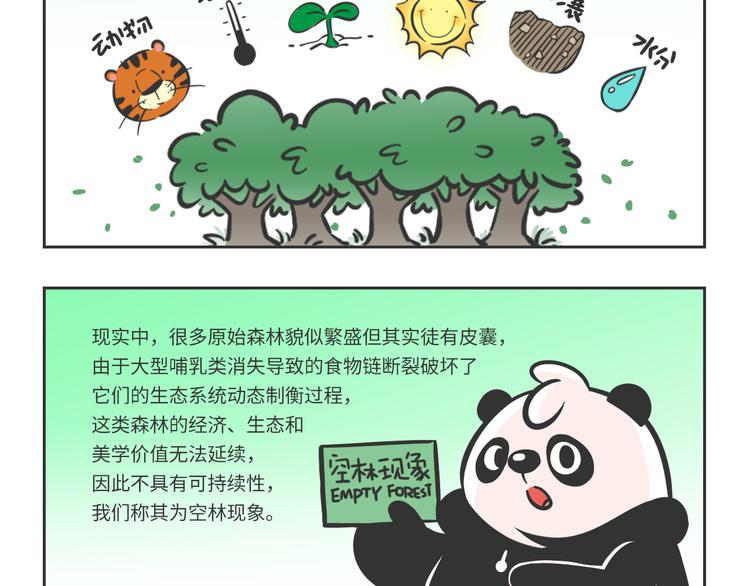 科普番外——健康的森林1