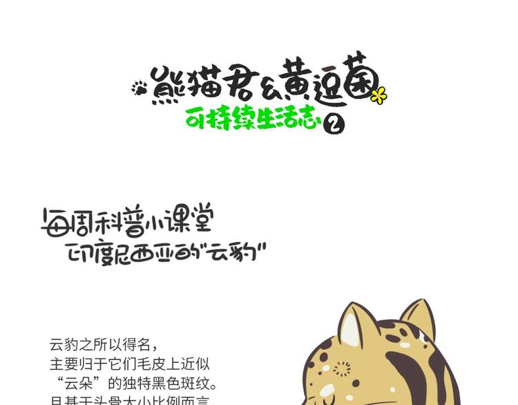 科普番外——印度尼西亚“云豹”0