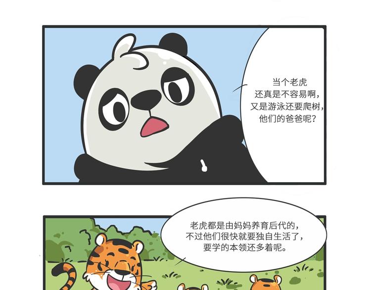 明日之星“达米尔”19