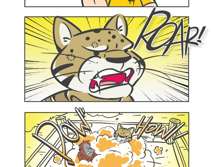 “强者对决”云豹沙普拉14