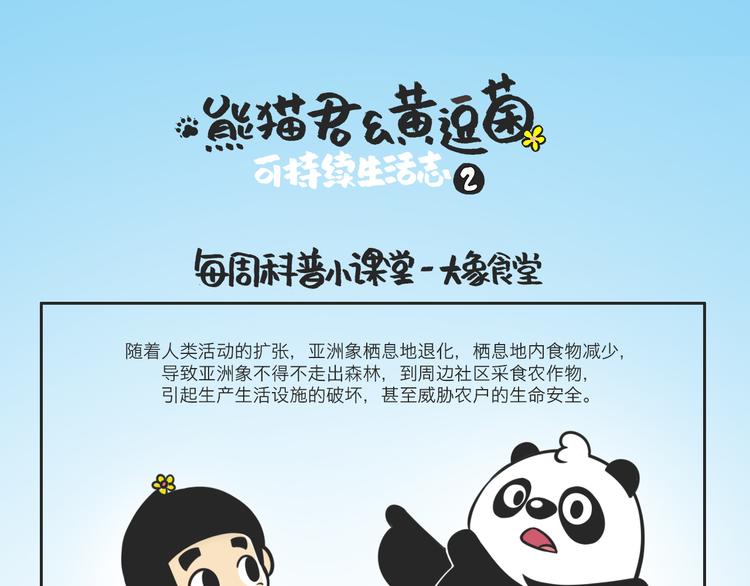 什么是大象食堂？0