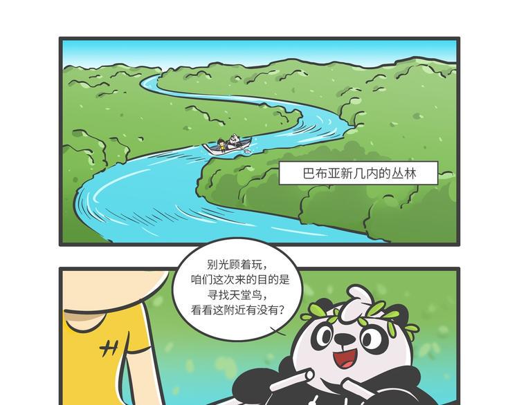 “武林高手”天堂鸟1
