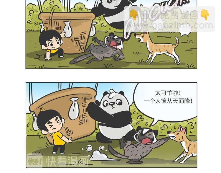 满满爱的几维鸟13