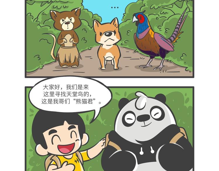 “武林高手”天堂鸟4