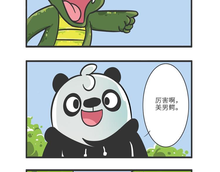 明日之星“达米尔”10
