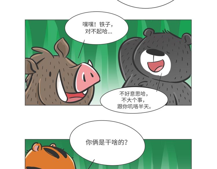 森林之王“虎威威”7