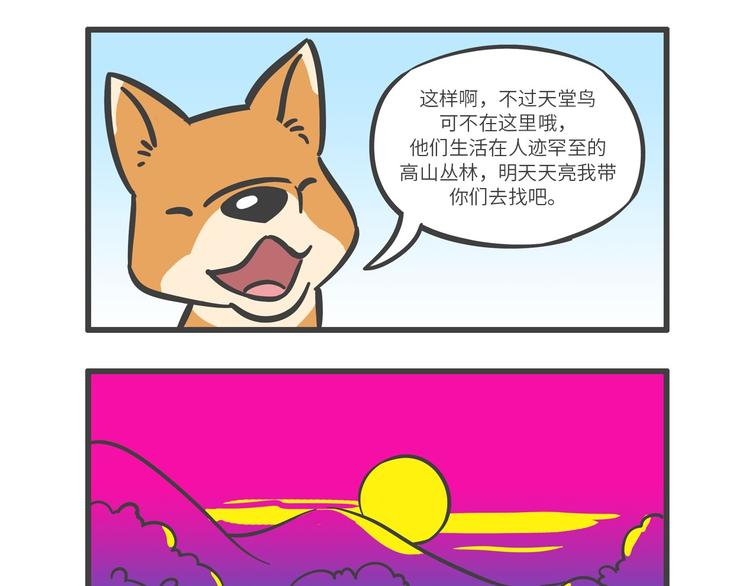 “武林高手”天堂鸟6