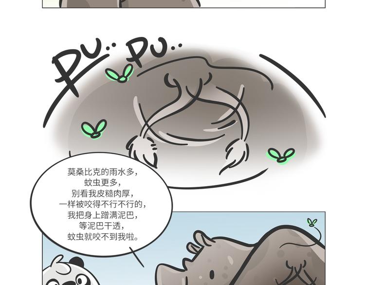 非洲“推土机”格罗拉6