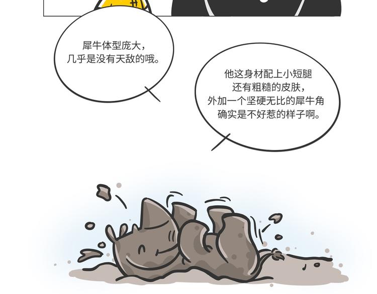 非洲“推土机”格罗拉4