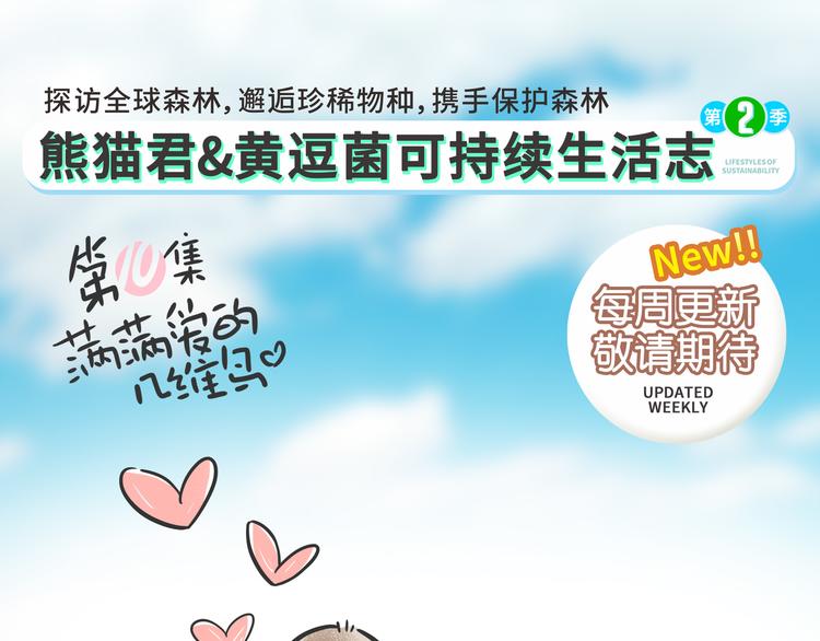 科普番外——新西兰的几维鸟5
