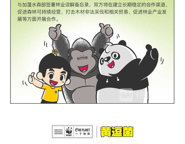 科普番外——非洲之肺刚果盆地3