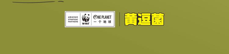 满满爱的几维鸟29