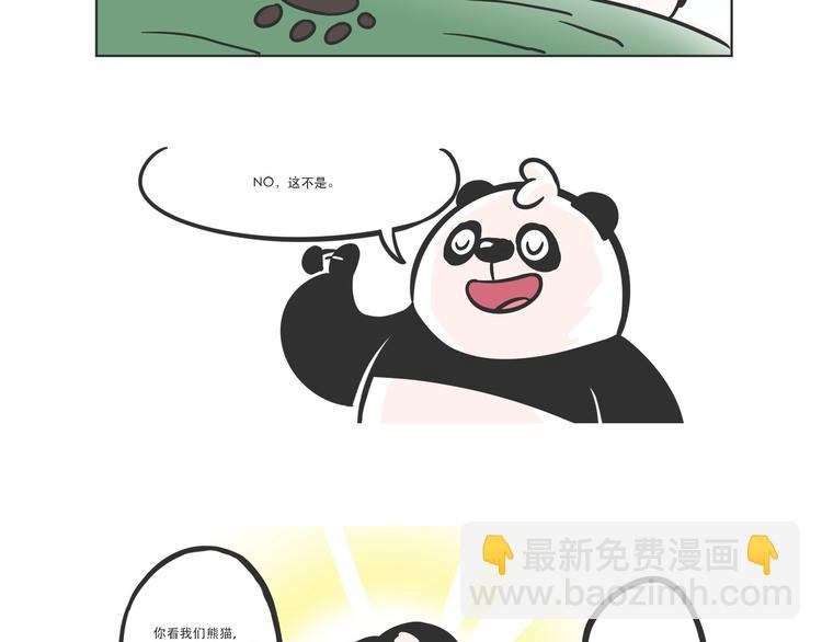 走丢的“熊猫君”11