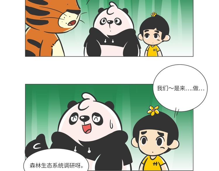 森林之王“虎威威”8