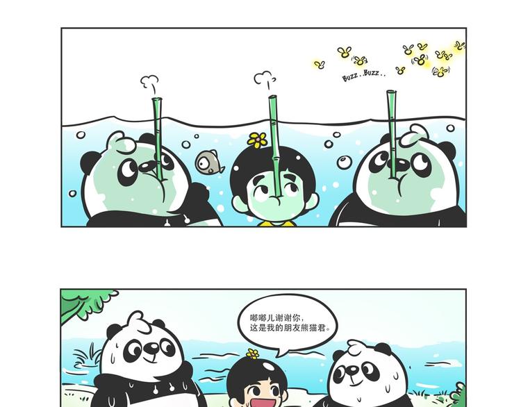 走丢的“熊猫君”15
