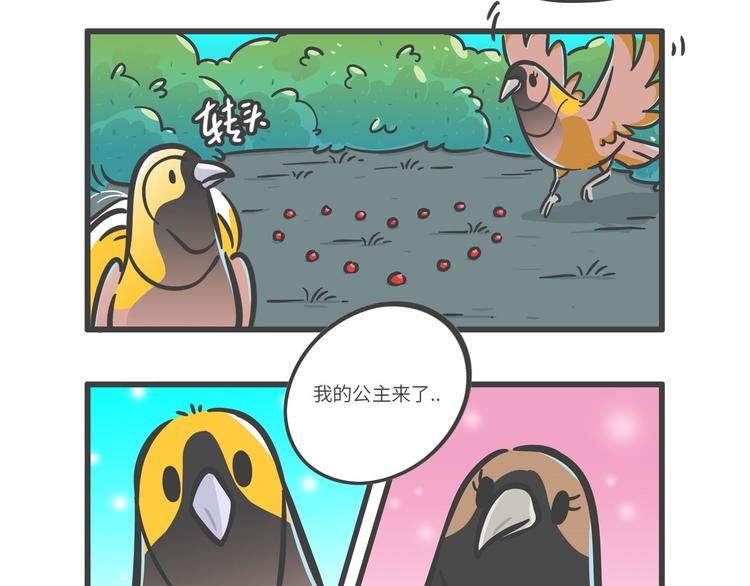 “武林高手”天堂鸟16