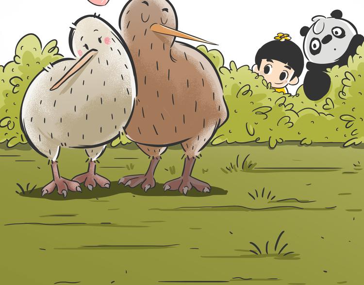 科普番外——新西兰的几维鸟6