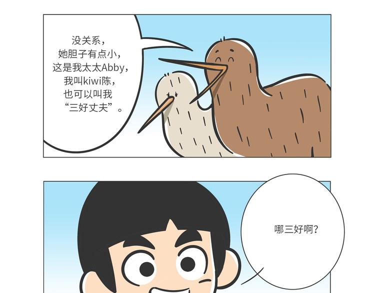 满满爱的几维鸟6