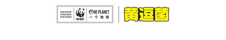 走丢的“熊猫君”19