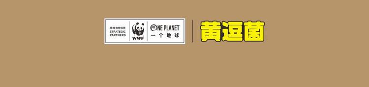 科普番外——印度尼西亚“云豹”7