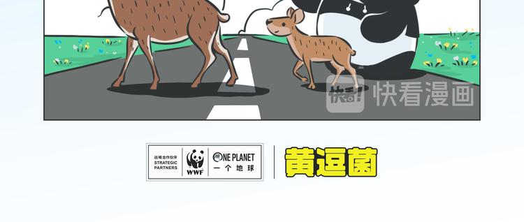 科普番外——藏羚羊的迁徙之旅3