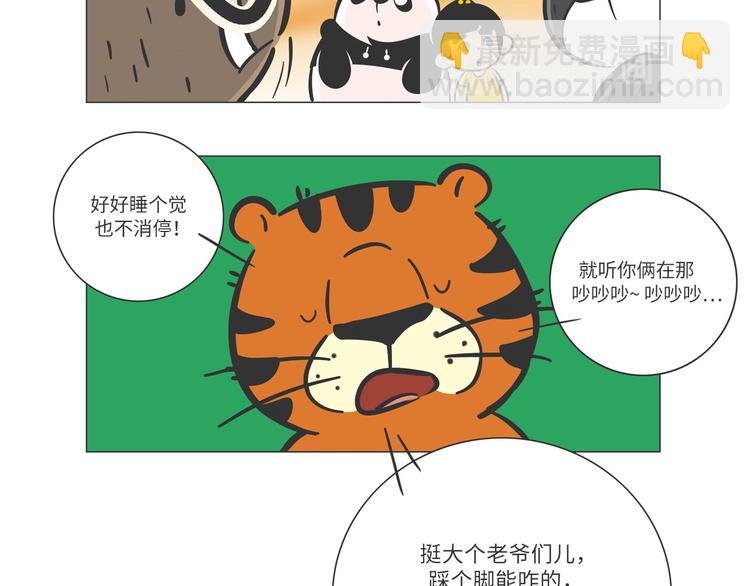 森林之王“虎威威”5