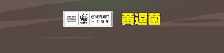 雨林深处的王者“努卡”22