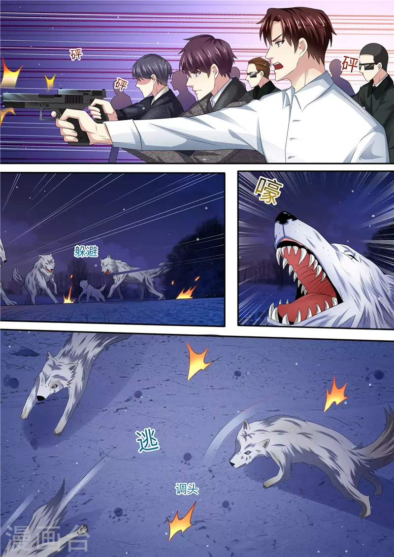 第307话 可靠战友5
