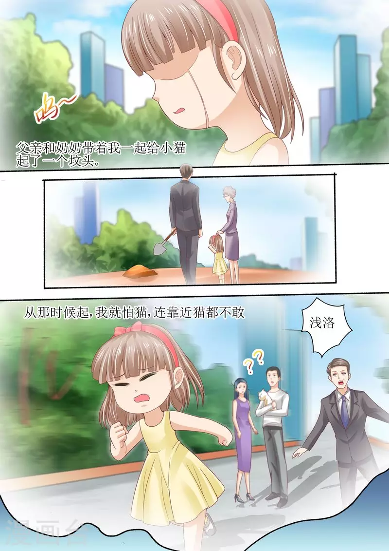第73话 关于猫的往事6