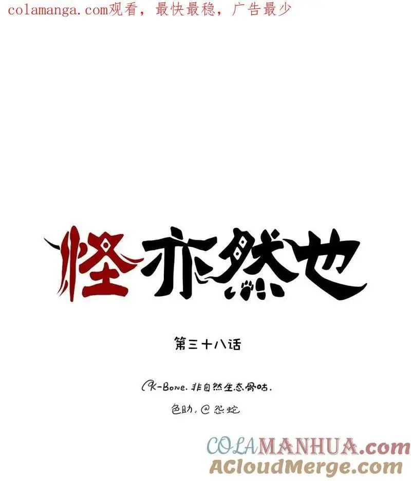 038 昙花一现影无踪0