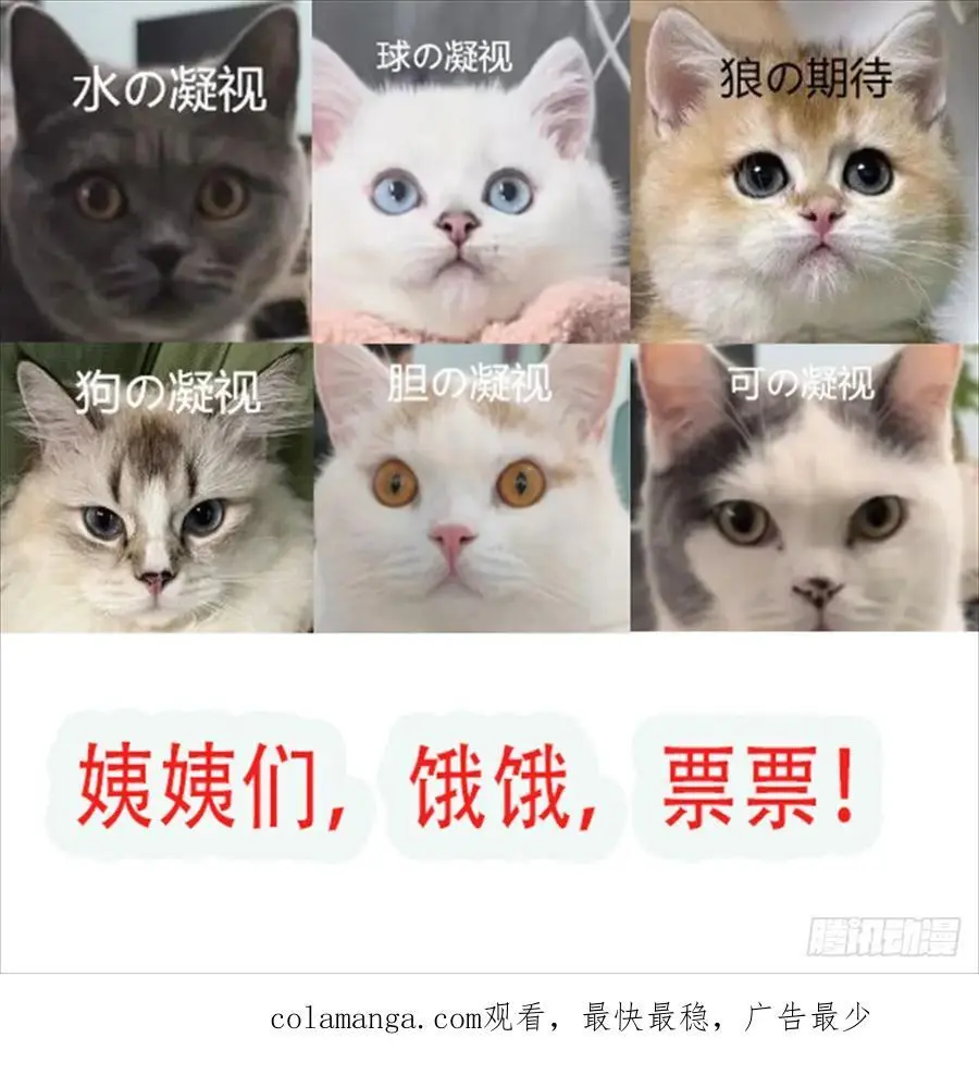 第54话又多了一个雄性46