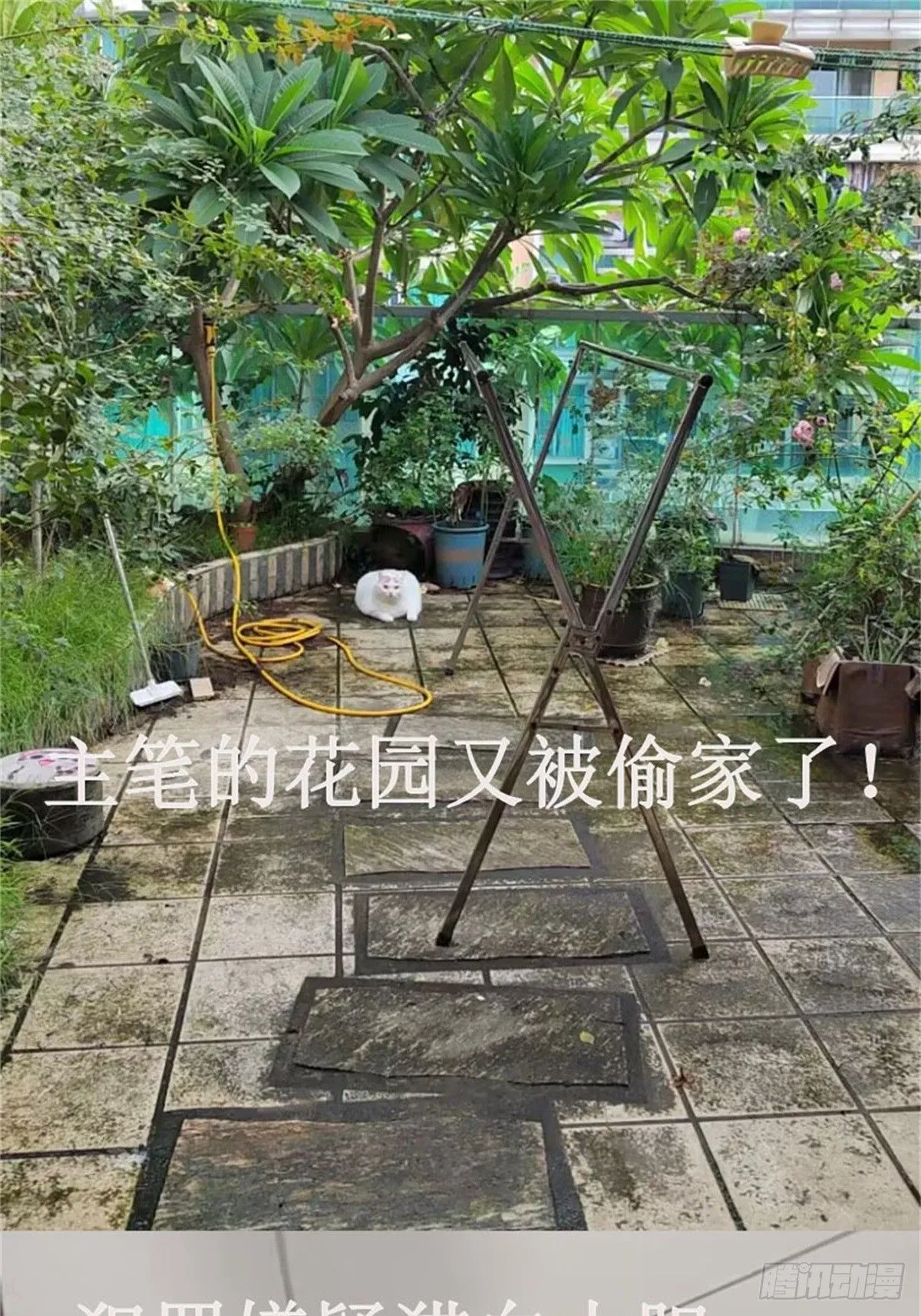 第27话让人羞涩的亲亲65