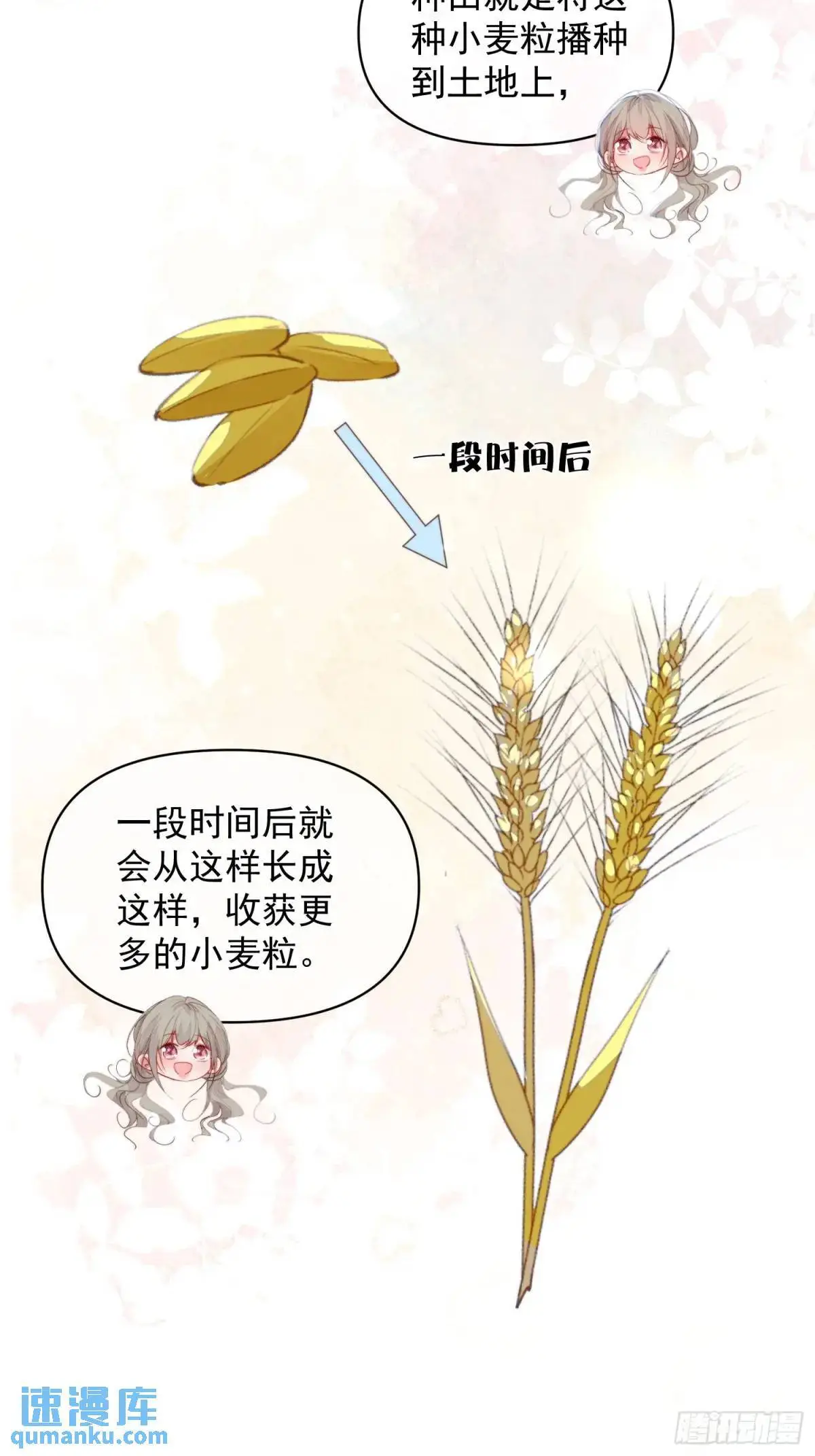 第52话吃醋啦4