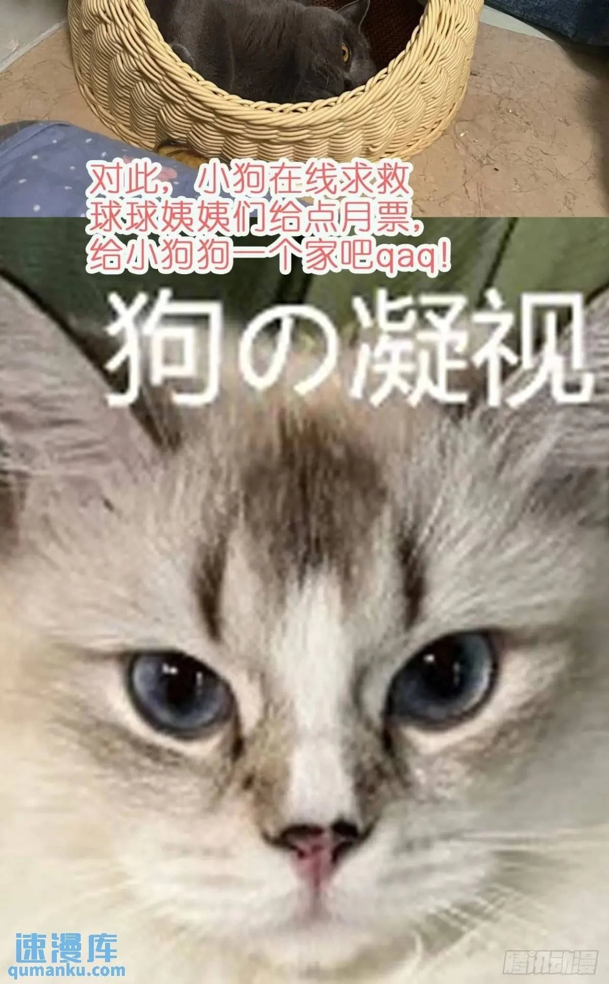 第37话防不胜防的情敌们57