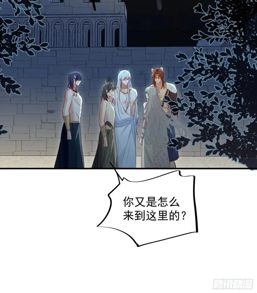 第57话后宫们又重逢了22