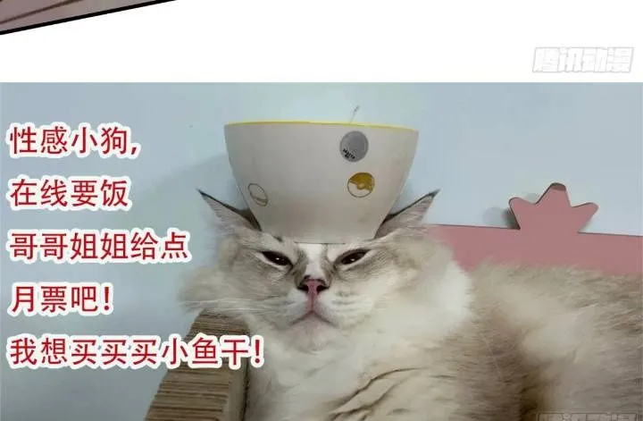 第29话吃醋啦！49