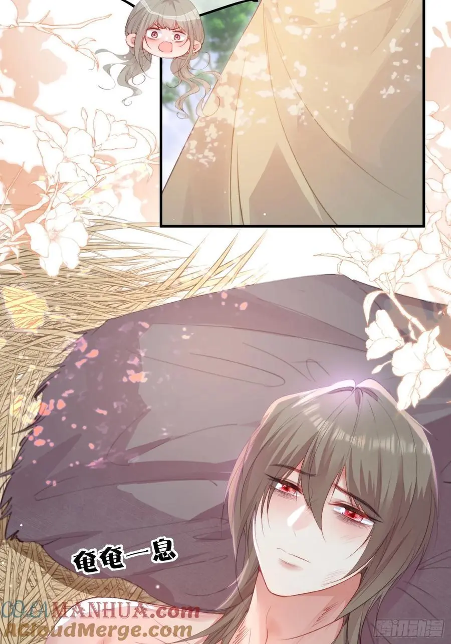 第54话又多了一个雄性3