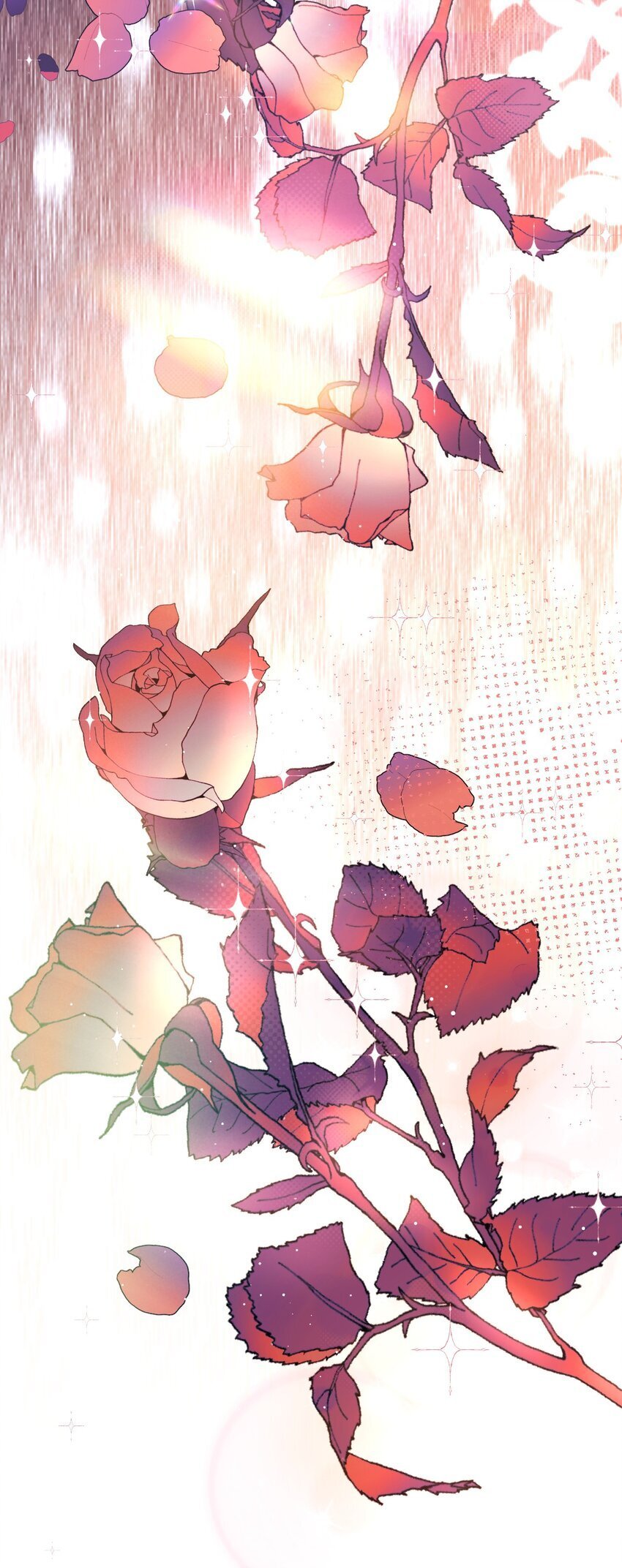 57 新婚之夜。23
