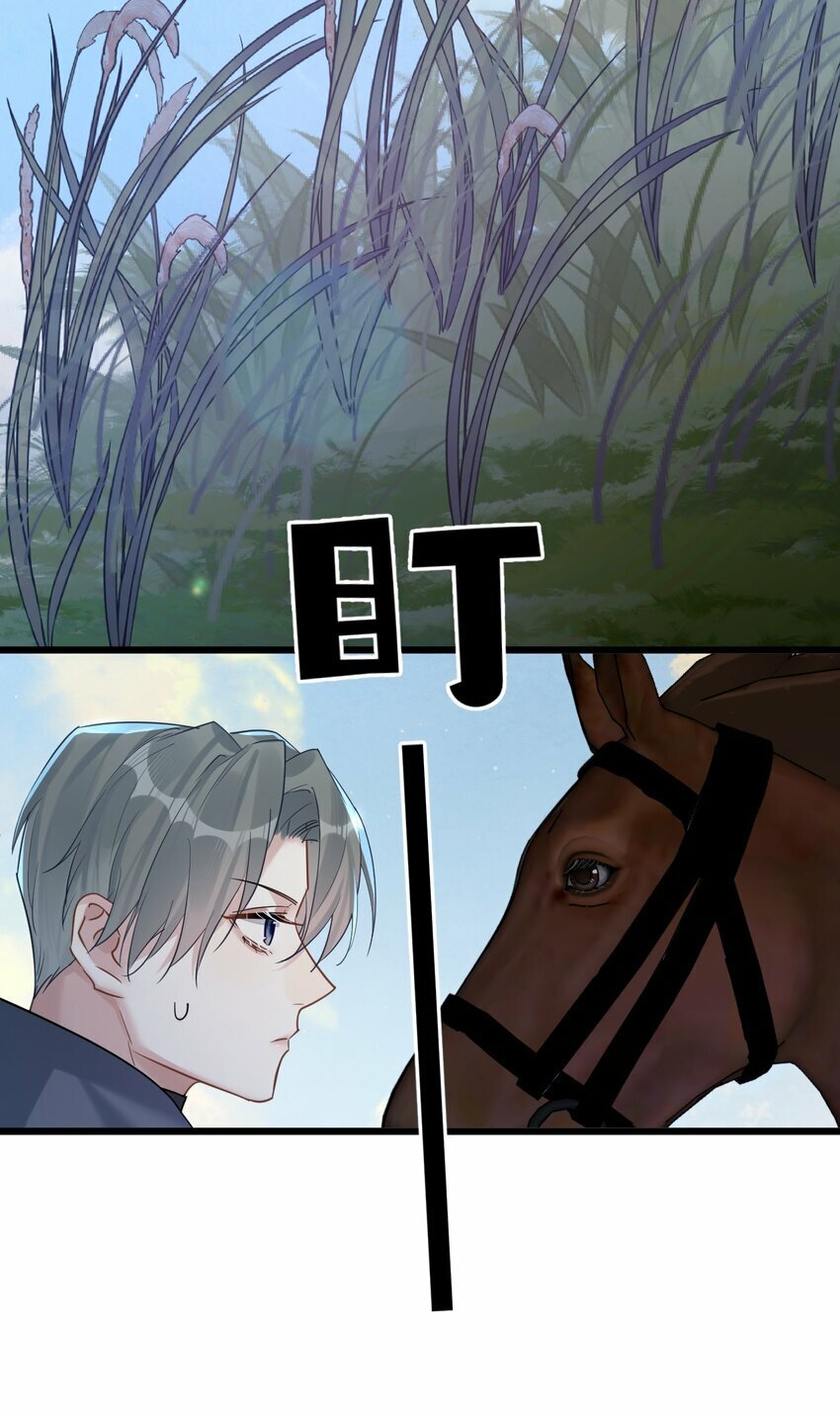 51 想念33