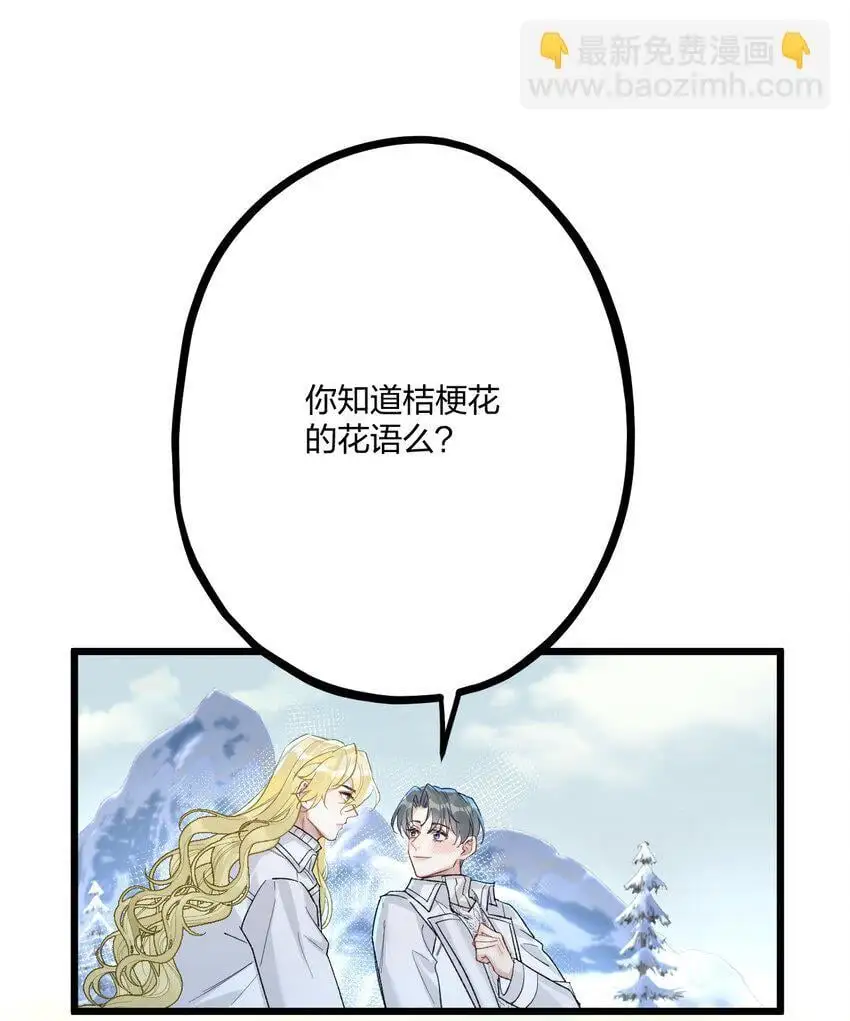 63 桔梗41