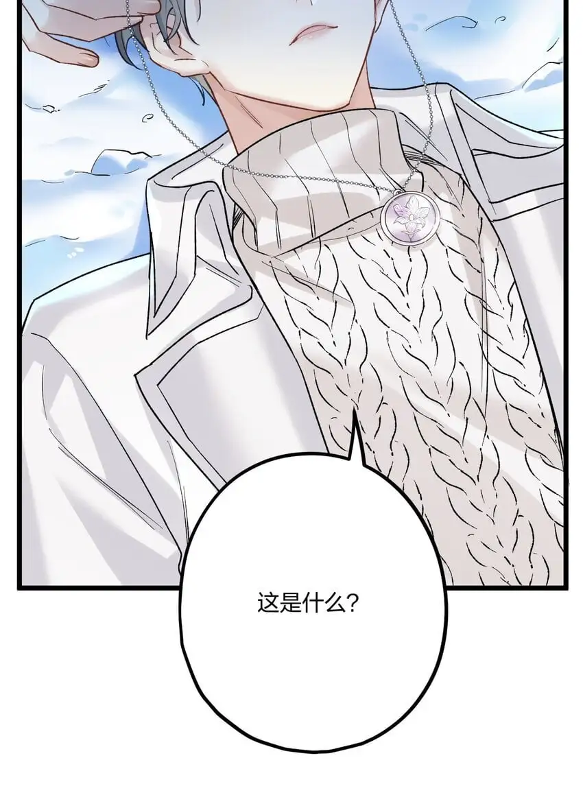 63 桔梗38