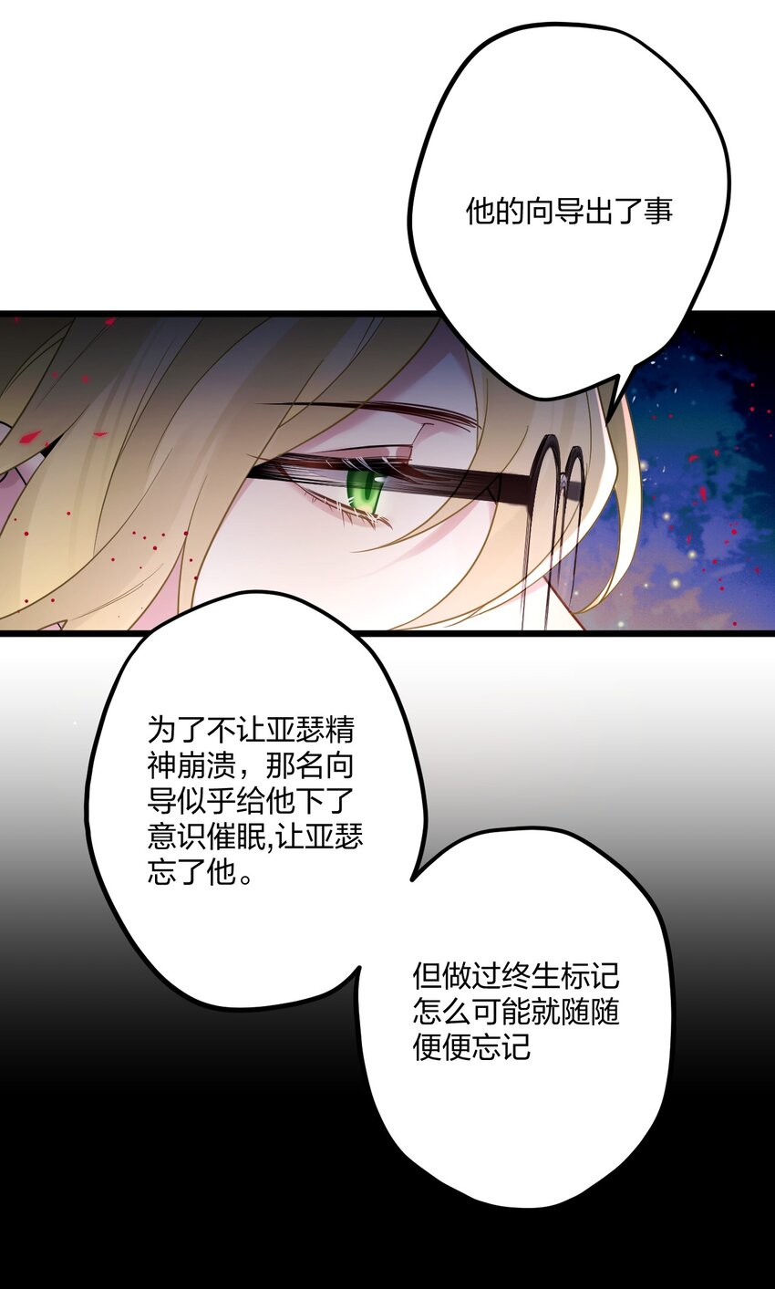 14 加西亚公爵18