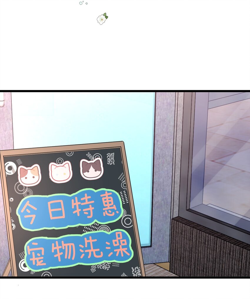 14 加西亚公爵36
